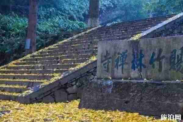 镇江哪里有银杏树观赏