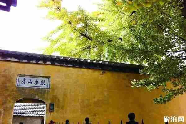 镇江哪里有银杏树观赏 镇江哪里有银杏树观赏