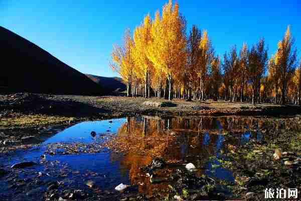 稻城亚丁自驾路线攻略 稻城亚丁在哪里怎么去 稻城亚丁自驾路线攻略 稻城亚丁在哪里怎么去