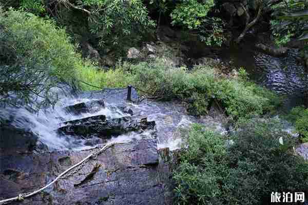 呀诺达雨林好玩吗 景区直通车线路信息