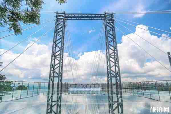 呀诺达雨林好玩吗 景区直通车线路信息