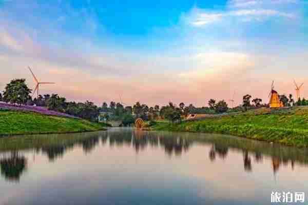 连云港周边有哪些适合露营的好地方  2019连云港游玩攻略 连云港周边有哪些适合露营的好地方  2019连云港游玩攻略