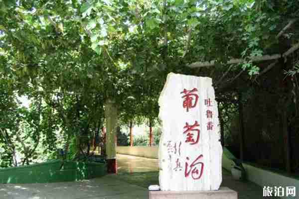 新疆吐鲁番一日游攻略+交通