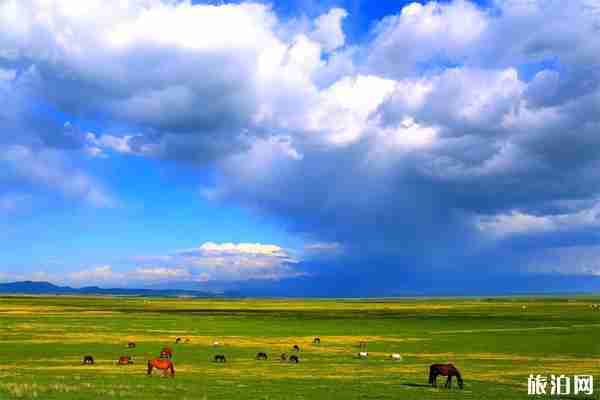 2019教师节旅游景点优惠信息整理