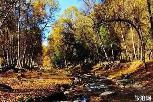 青海秋景最美的地方推荐