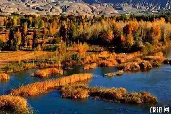 青海秋景最美的地方推荐