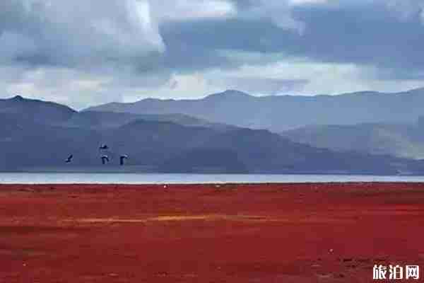 青海秋景最美的地方推荐