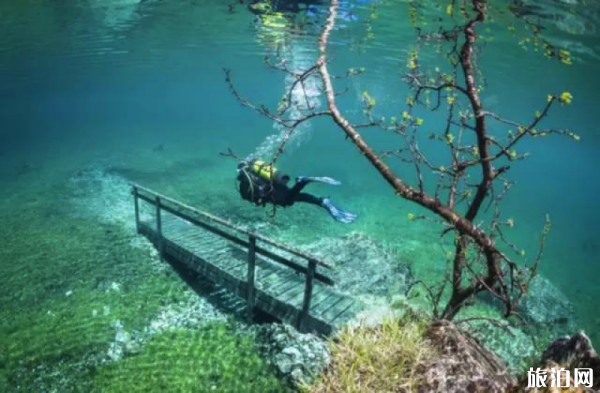 潜水除了看鱼还可以看什么 潜水新奇地点推荐