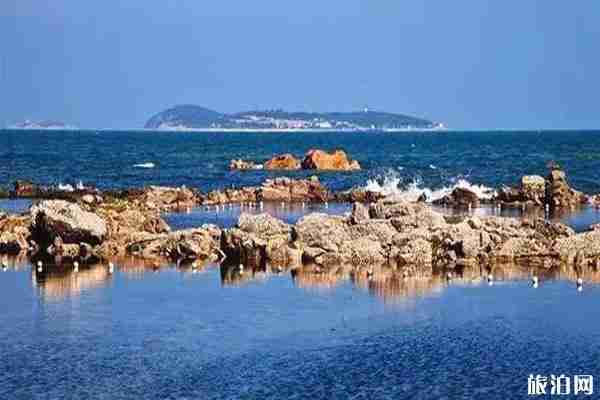 青島漁村哪個好玩  青島哪里吃海鮮最正宗