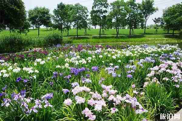 上海有特色的冷門景點有哪些 上海有特色的冷門景點有哪些