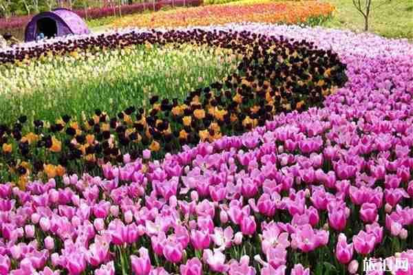 上海有特色的冷門景點有哪些 上海有特色的冷門景點有哪些