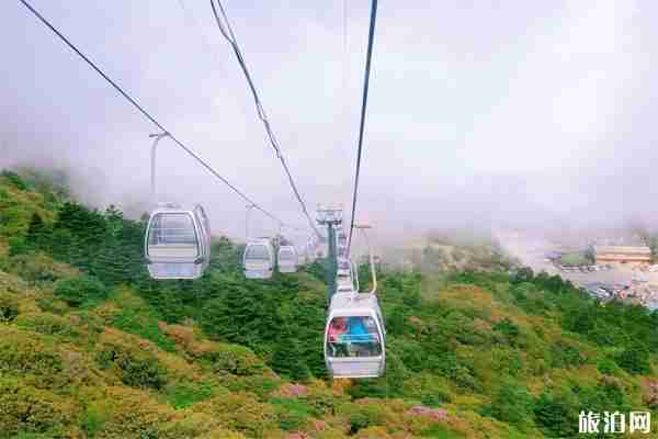 昆明轎子雪山旅游交通指南 昆明轎子雪山旅游交通指南