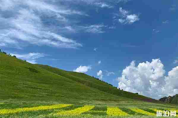 輝騰錫勒草原需要門票嗎