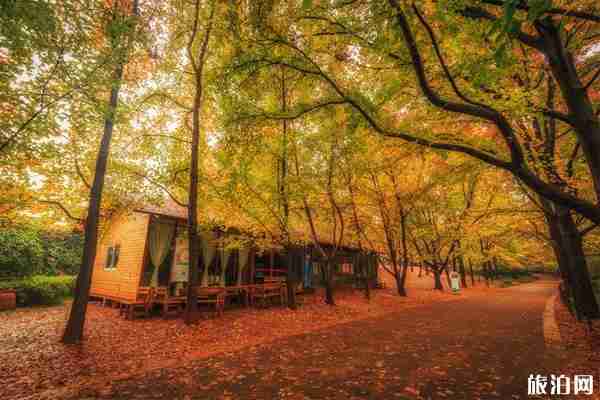 昆明適合拍照的地方有哪些