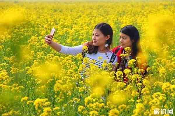 2019臨沂一日游必去景點