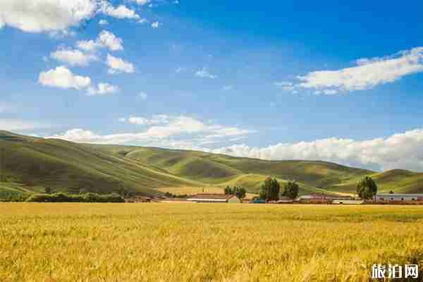 肃南有哪些值得一去的热门景点 肃南有哪些值得一去的热门景点