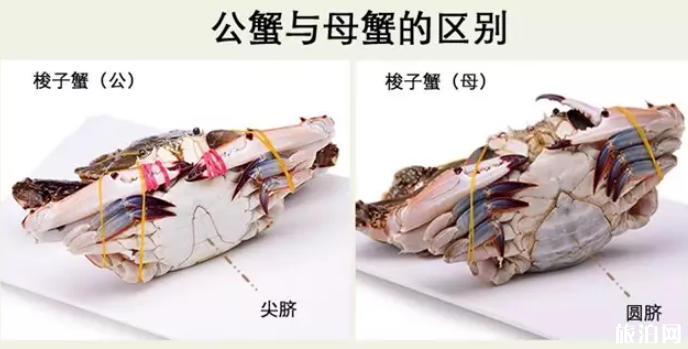 2019渤海灣開海時間 海鮮挑選攻略