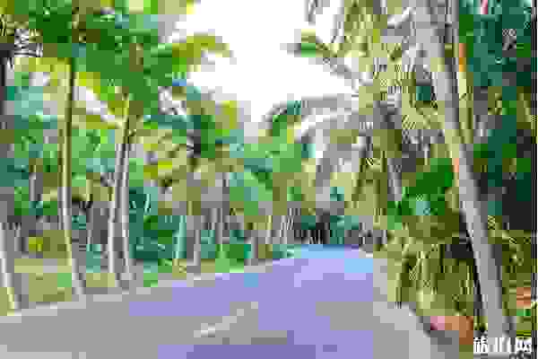 怎么來海南最方便快捷 海南交通工具指南