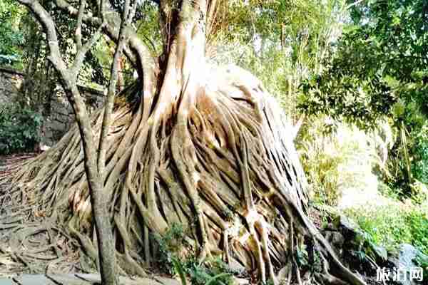 三亚大小洞天旅游攻略+景点介绍 三亚大小洞天旅游攻略+景点介绍