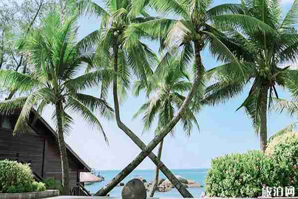 三亚天涯海角有哪些景点+景点介绍 三亚天涯海角有哪些景点+景点介绍