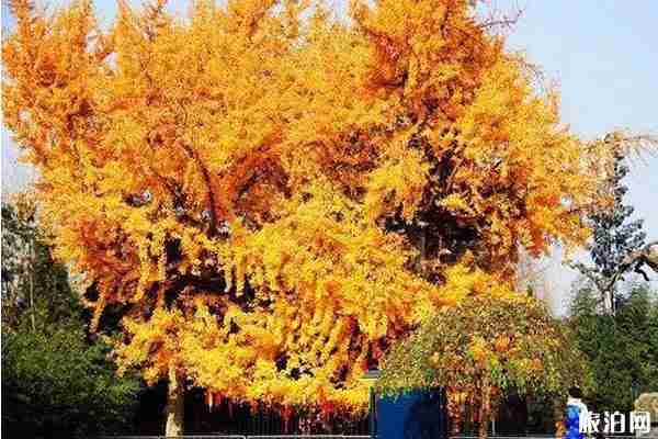 西安秋天去哪玩比较好