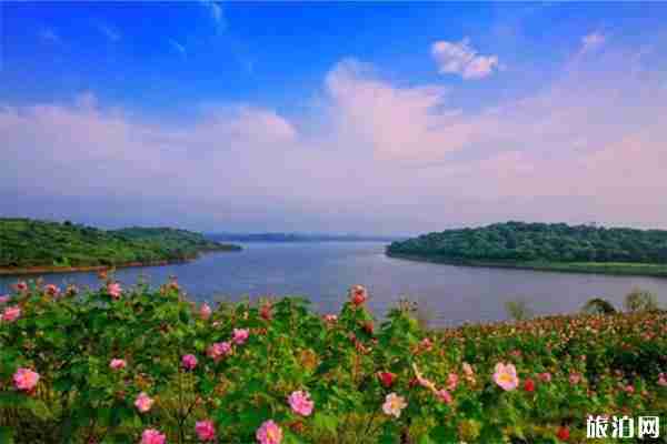 东莞松山湖风景区要门票吗 东莞松山湖有什么好玩的 东莞松山湖风景区要门票吗 东莞松山湖有什么好玩的