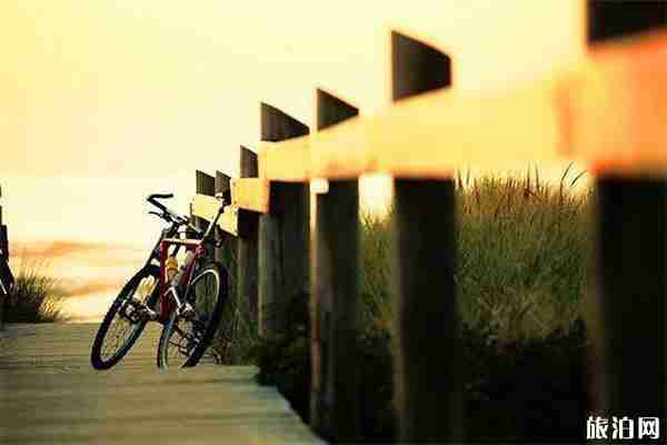 东莞松山湖风景区要门票吗 东莞松山湖有什么好玩的