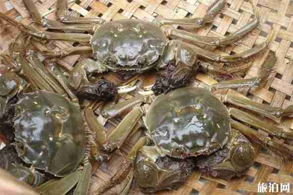 2019阳澄湖大闸蟹开捕时间 附活动流程 2019阳澄湖大闸蟹开捕时间 附活动流程