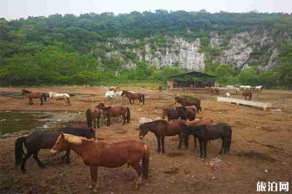 苏州太湖牛仔风情度假村好玩吗 附游玩项目