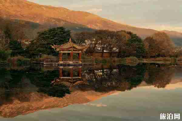 深圳有哪些网红打卡地  2019深圳网红打卡攻略 深圳有哪些网红打卡地  2019深圳网红打卡攻略