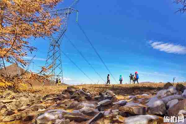 沽源老掌溝游玩攻略+交通指南