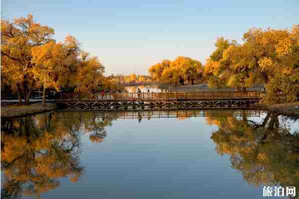 額濟納旗特色美食有哪些 額濟納旗特色美食有哪些