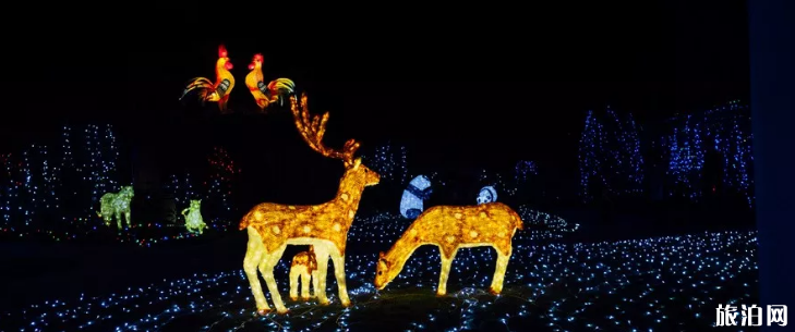 2019杭州國際日展覽時間+燈光秀無人機(jī)表演時間+看點(diǎn)