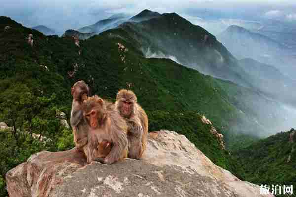 江苏排名前十的名山有哪些 2019江苏爬山攻略