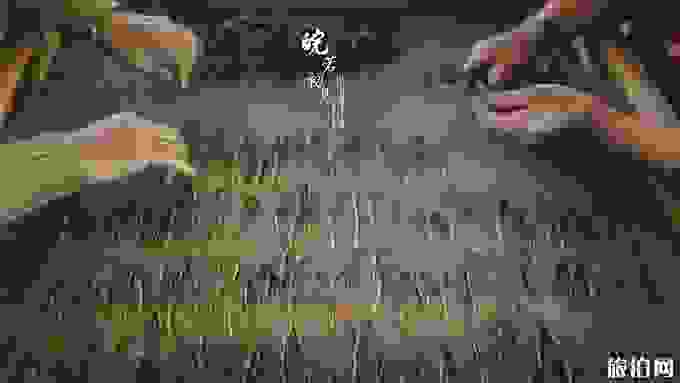 黃山旅游伴手禮買什么