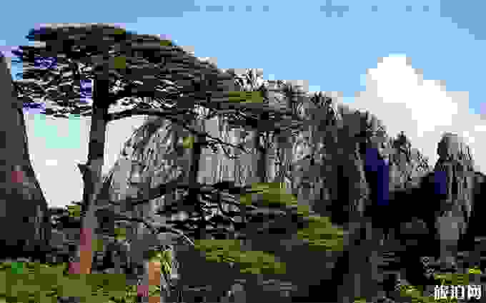 怎么去黃山 黃山景區外部交通 怎么去黃山 黃山景區外部交通