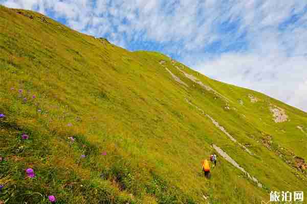張家口有哪些必去是熱門景點(diǎn)