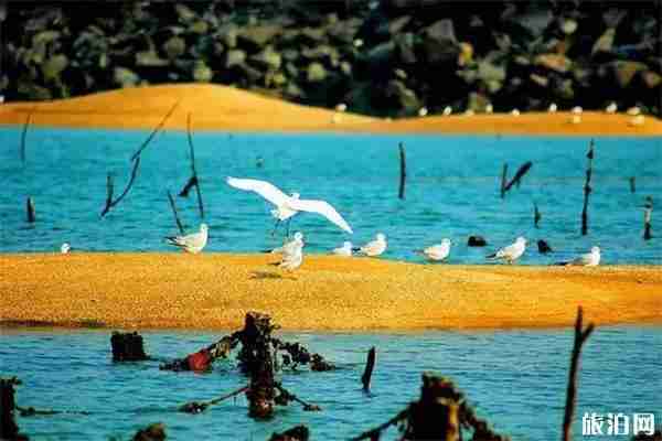 石家庄周边有哪些岛屿 自驾交通指南