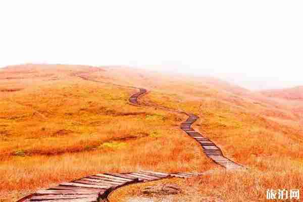 福建柘荣有什么好玩的景点