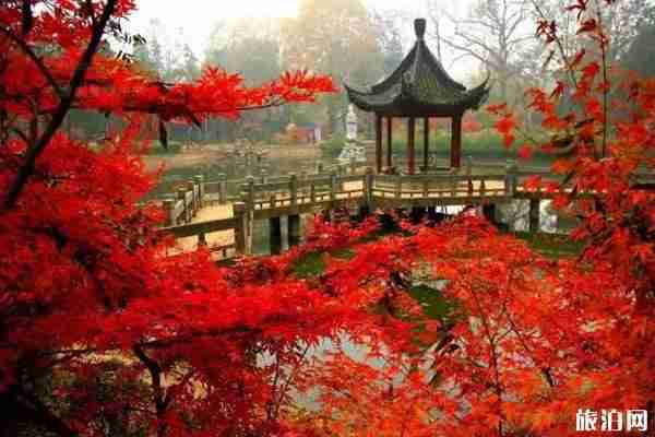 南京秋天好玩的景点推荐