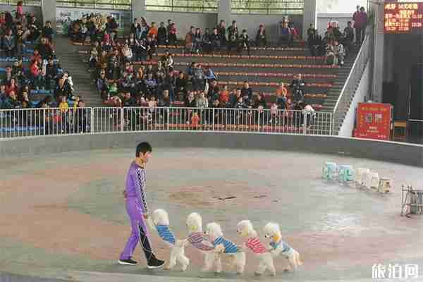 石家庄市动物园开园时间+观光车营业时间及票价