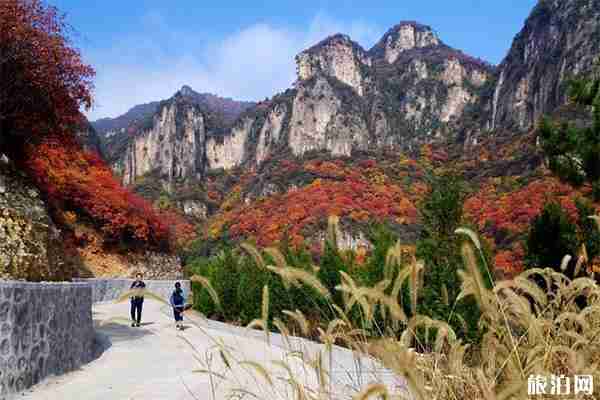 石家庄沕沕水生态风景区好玩吗 门票多少钱