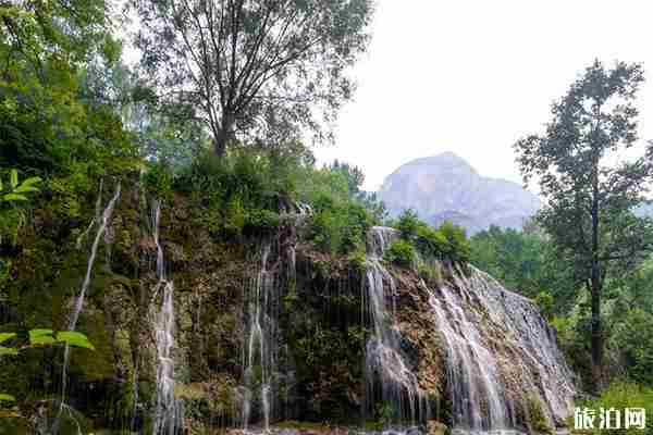 石家庄网红打卡景点有哪些