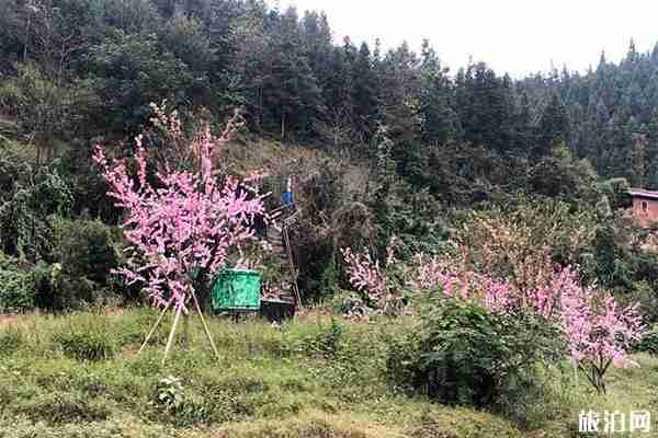常德桃花源景区怎么样 桃花源景区怎么走 常德桃花源景区怎么样 桃花源景区怎么走