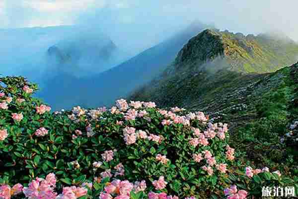 云南苍山有什么好玩的 苍山玩法推荐 云南苍山有什么好玩的 苍山玩法推荐