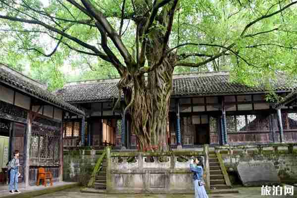 重庆合川钓鱼城景区一日游玩攻略