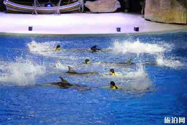 重庆乐和乐都门票多少钱 附教师节优惠政策信息 重庆乐和乐都门票多少钱 附教师节优惠政策信息