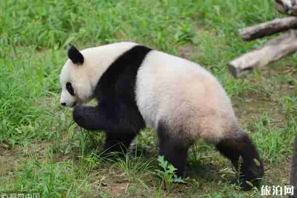 2019年9月南京景點免費(fèi)日時間+名單