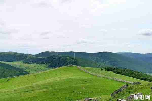 崇礼周边有哪些热门景点