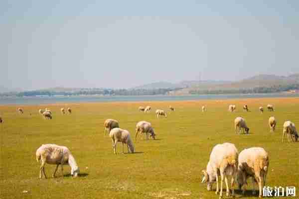 崇礼周边有哪些热门景点
